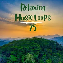Relaxing Music Loops 75